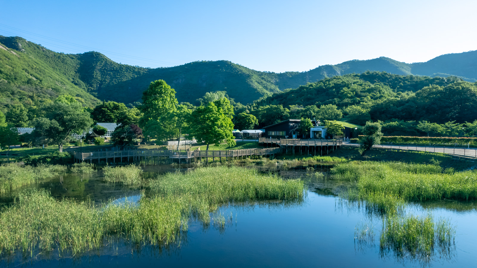 高砂市市ノ池公園