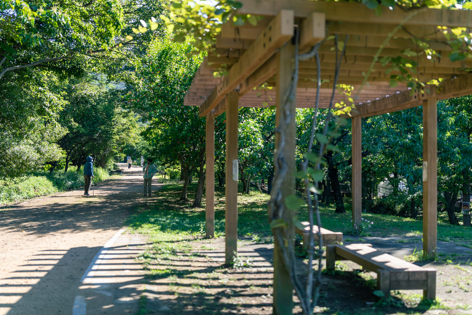 高砂市市ノ池公園